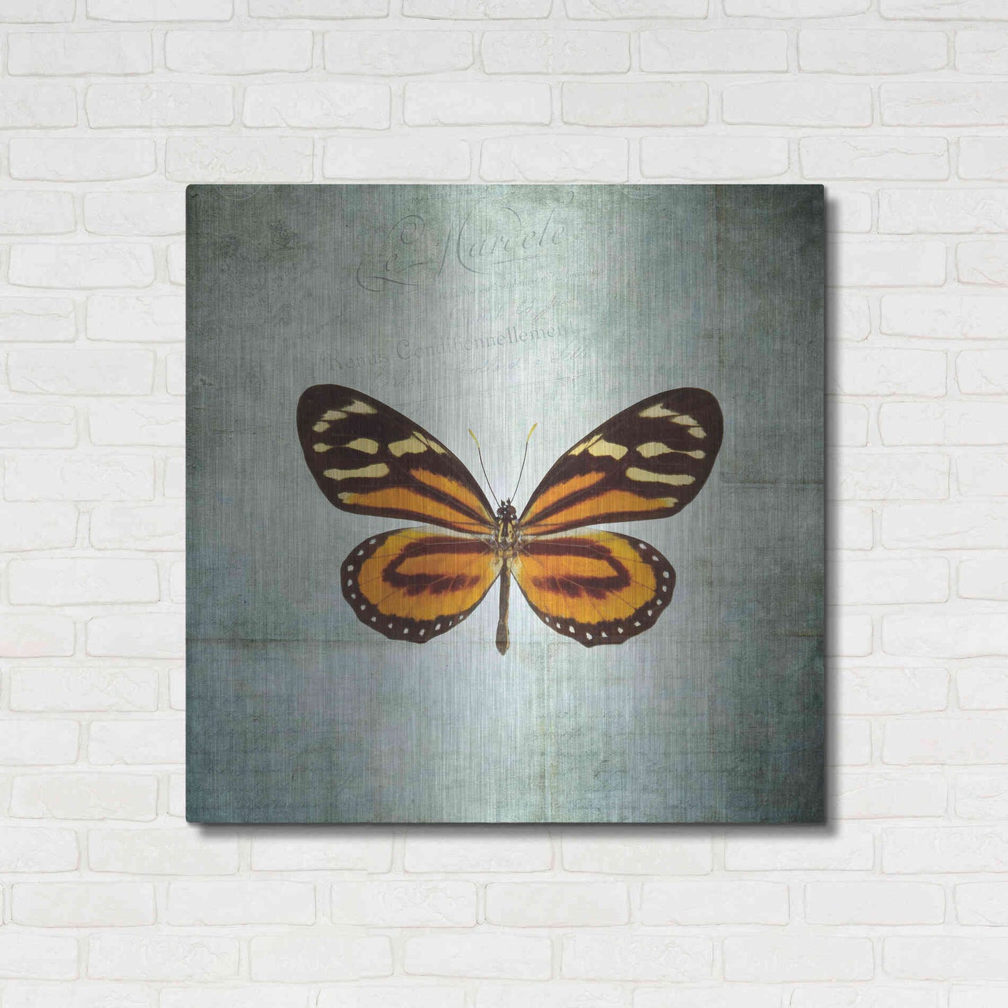 Luxe Metal Art 'French Butterfly VIII' by Debra Van Swearingen, Metal Wall Art,36x36