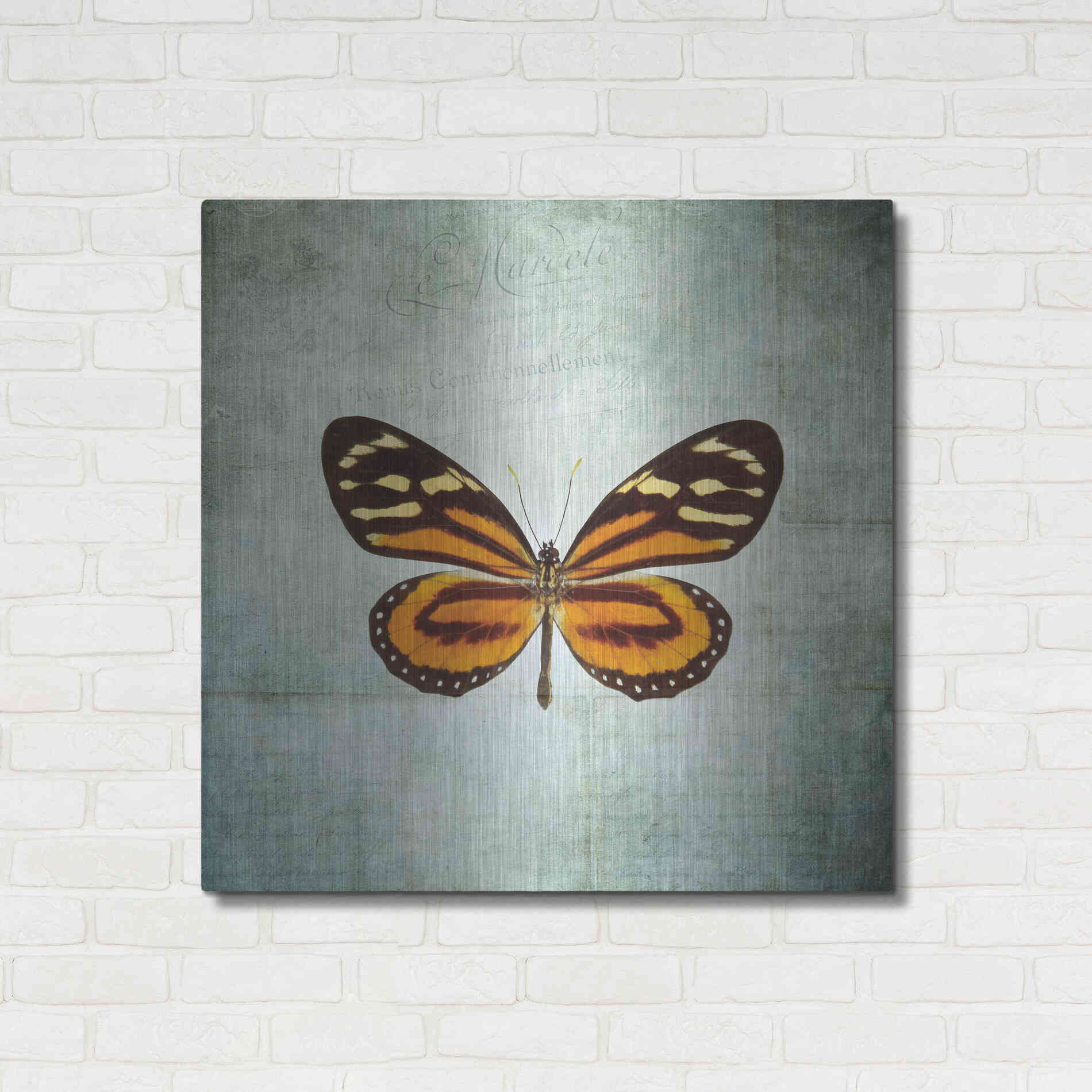 Luxe Metal Art 'French Butterfly VIII' by Debra Van Swearingen, Metal Wall Art,36x36