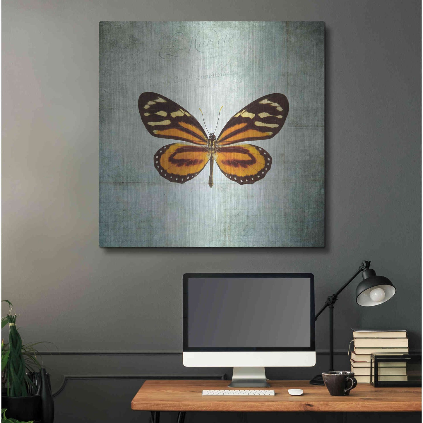 Luxe Metal Art 'French Butterfly VIII' by Debra Van Swearingen, Metal Wall Art,36x36