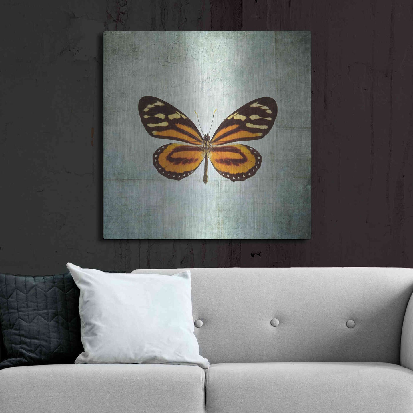 Luxe Metal Art 'French Butterfly VIII' by Debra Van Swearingen, Metal Wall Art,36x36