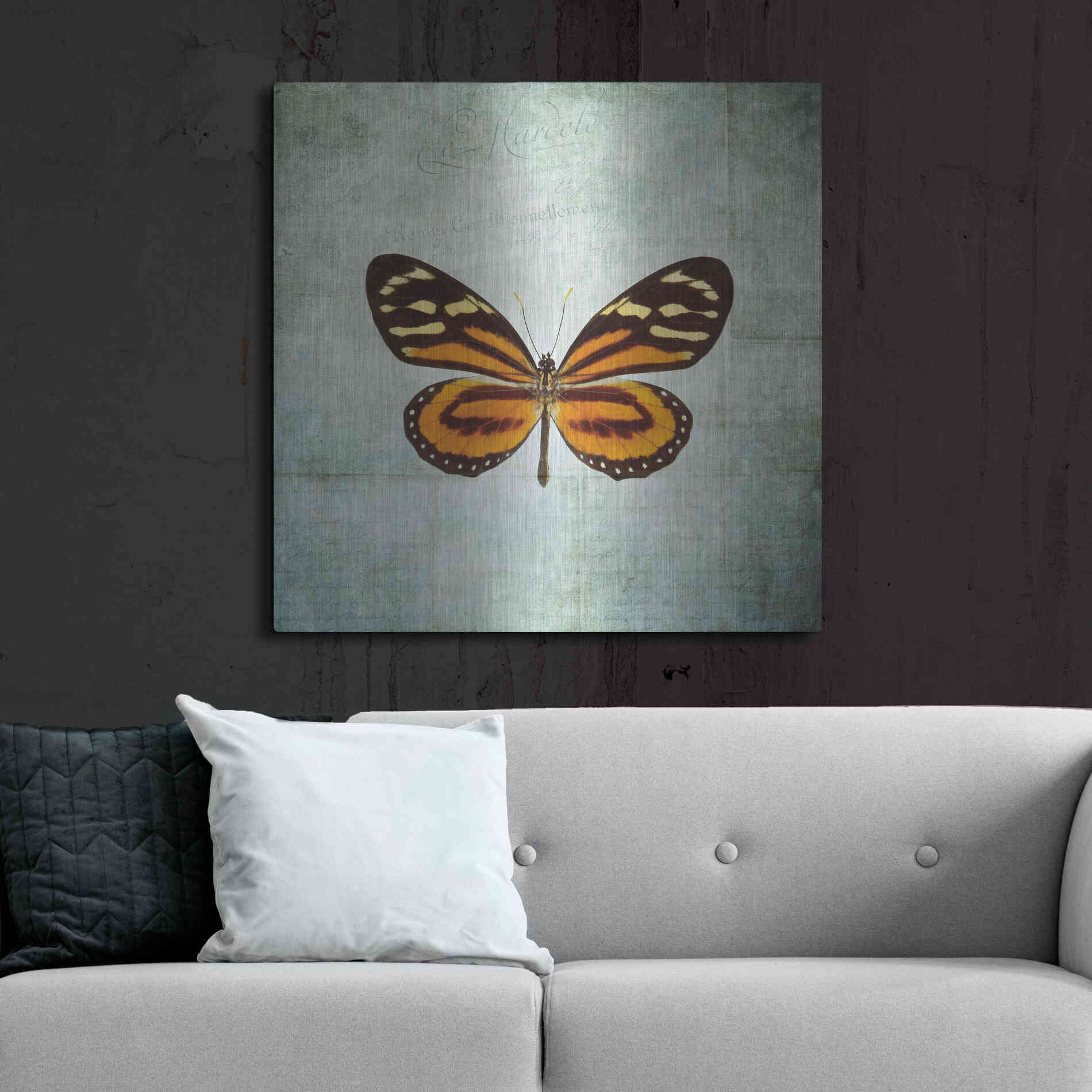 Luxe Metal Art 'French Butterfly VIII' by Debra Van Swearingen, Metal Wall Art,36x36