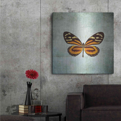 Luxe Metal Art 'French Butterfly VIII' by Debra Van Swearingen, Metal Wall Art,36x36
