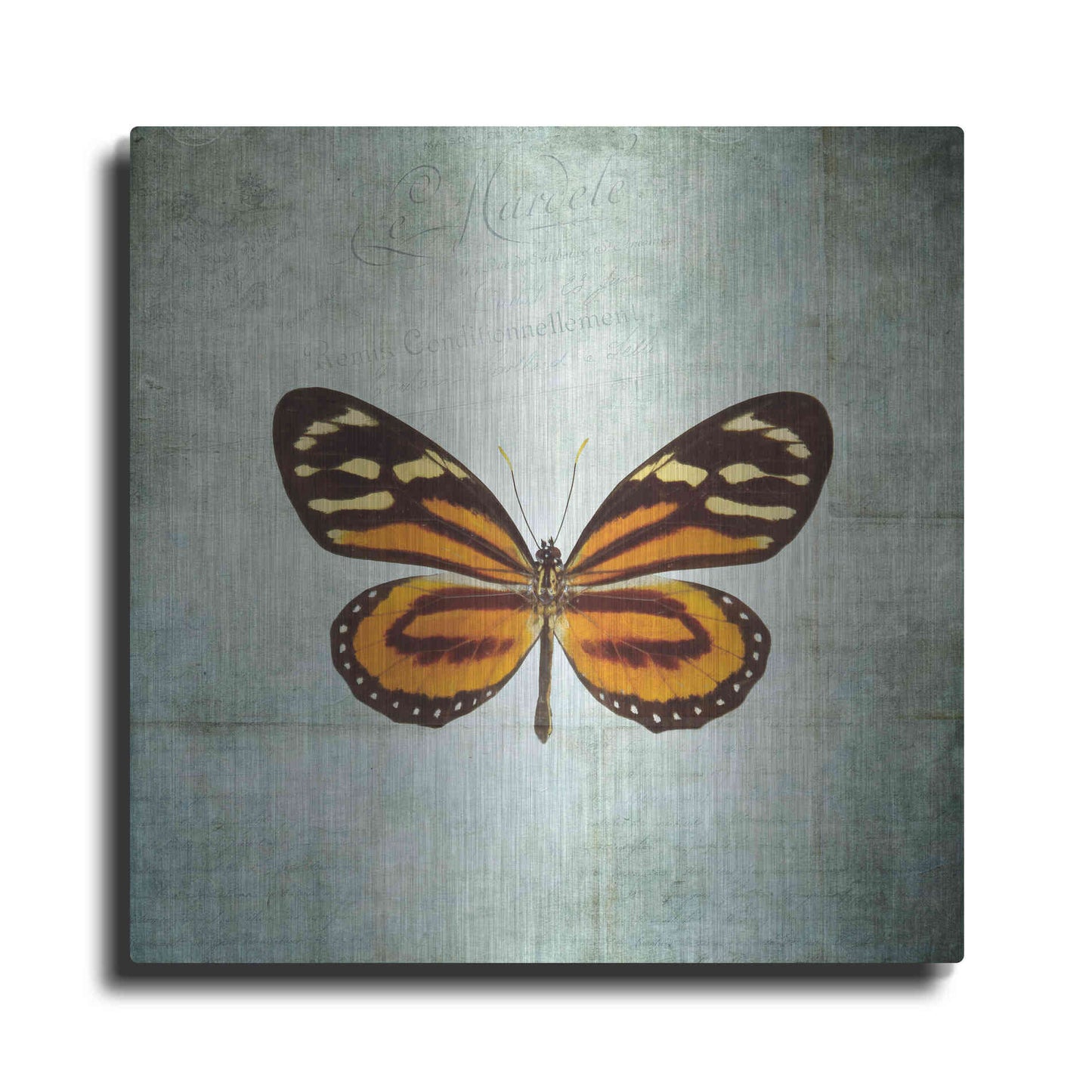 Luxe Metal Art 'French Butterfly VIII' by Debra Van Swearingen, Metal Wall Art