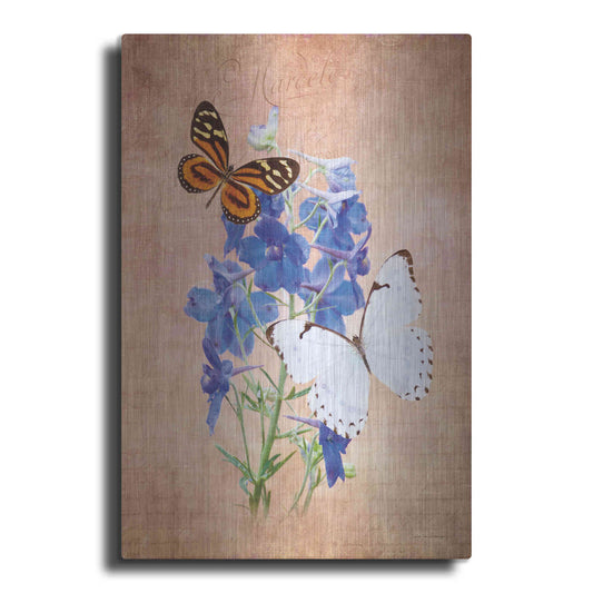 Luxe Metal Art 'Butterfly Botanical III' by Debra Van Swearingen, Metal Wall Art