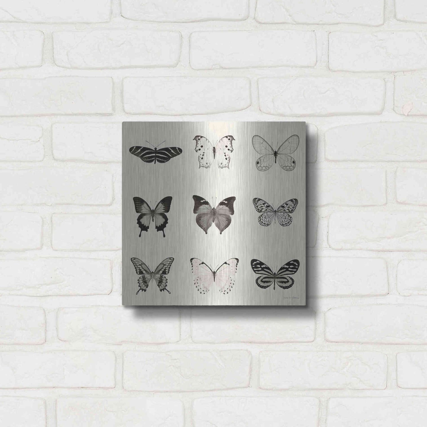 Luxe Metal Art 'Butterfly BW 9 Patch' by Debra Van Swearingen, Metal Wall Art,12x12