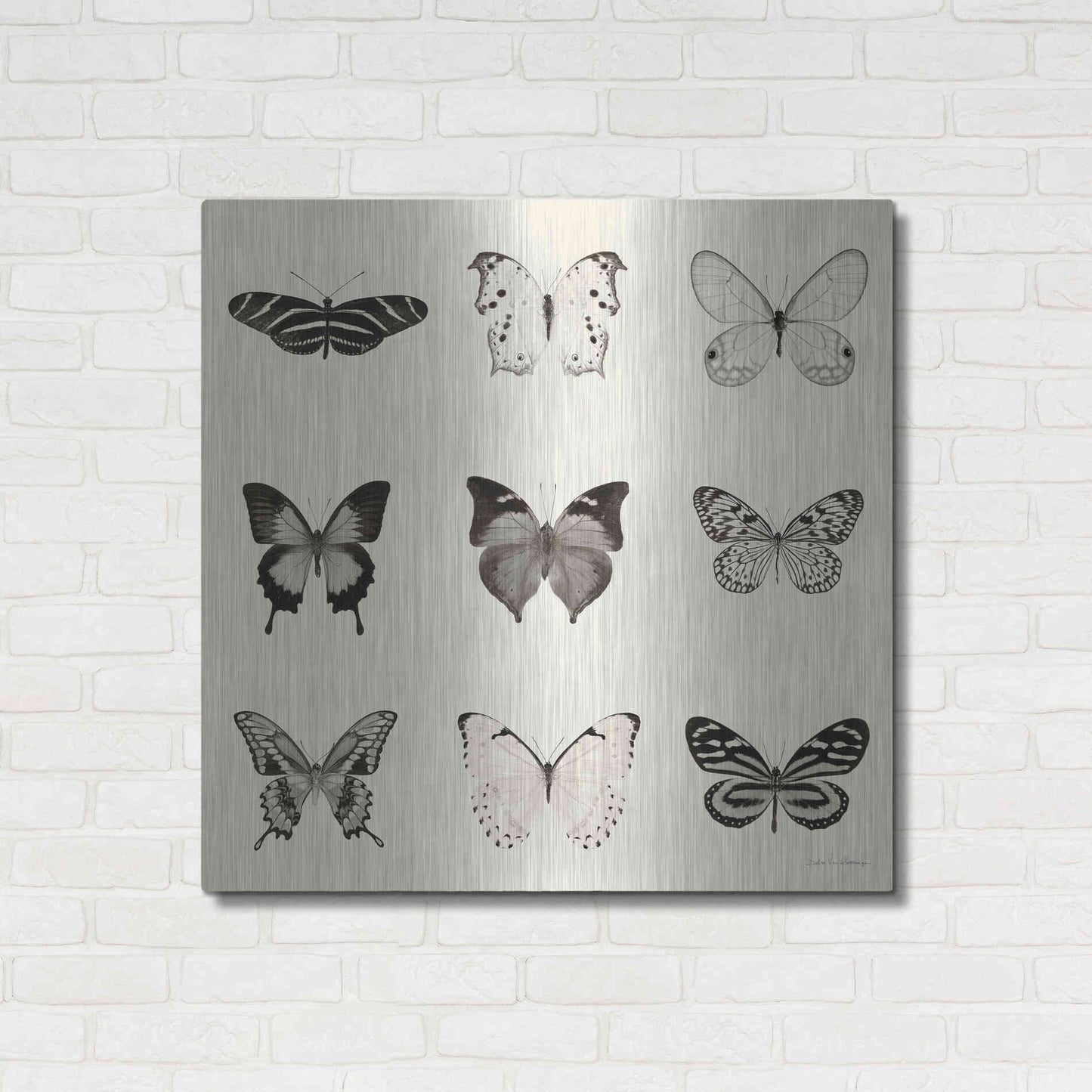 Luxe Metal Art 'Butterfly BW 9 Patch' by Debra Van Swearingen, Metal Wall Art,36x36