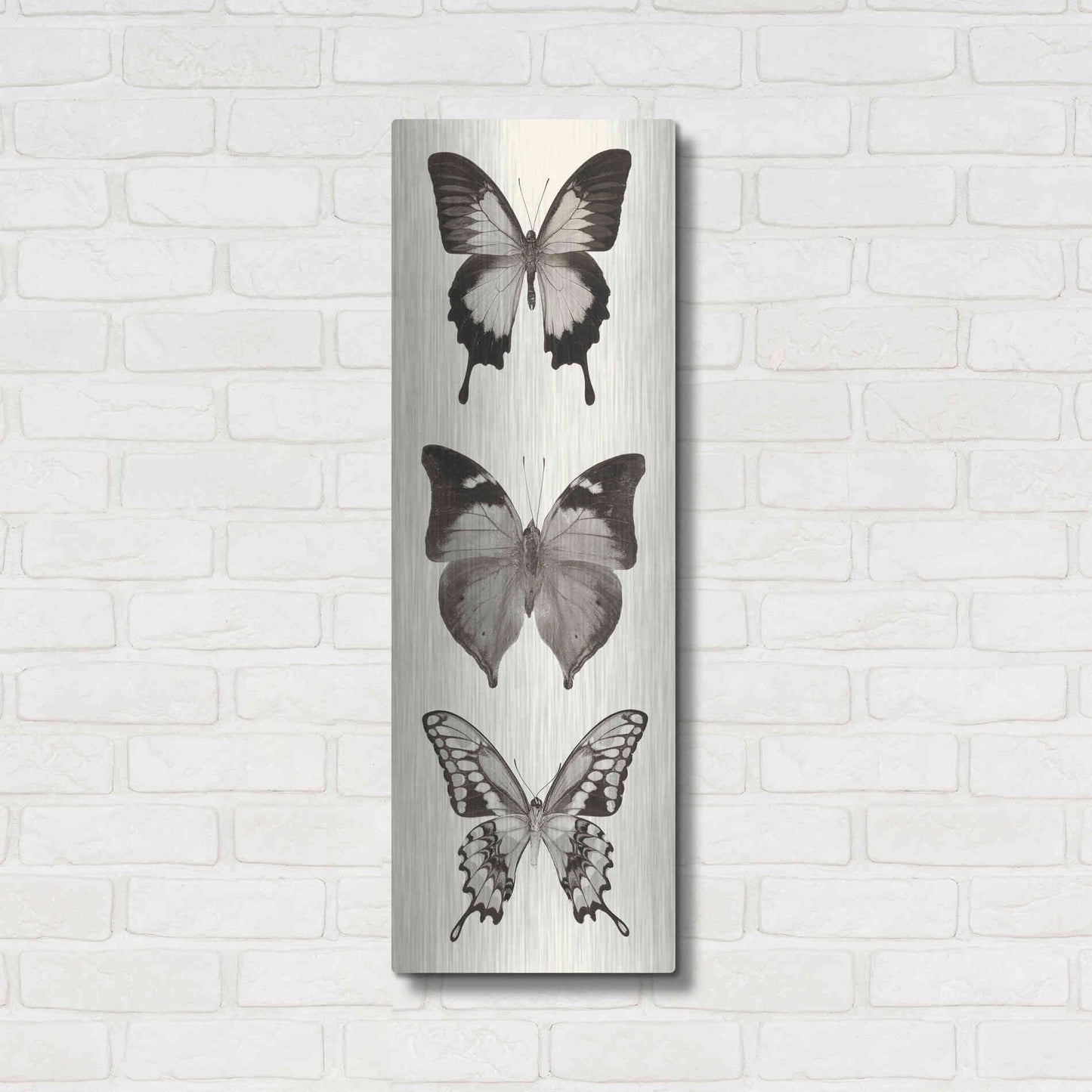 Luxe Metal Art 'Butterfly BW Panel I' by Debra Van Swearingen, Metal Wall Art,12x36