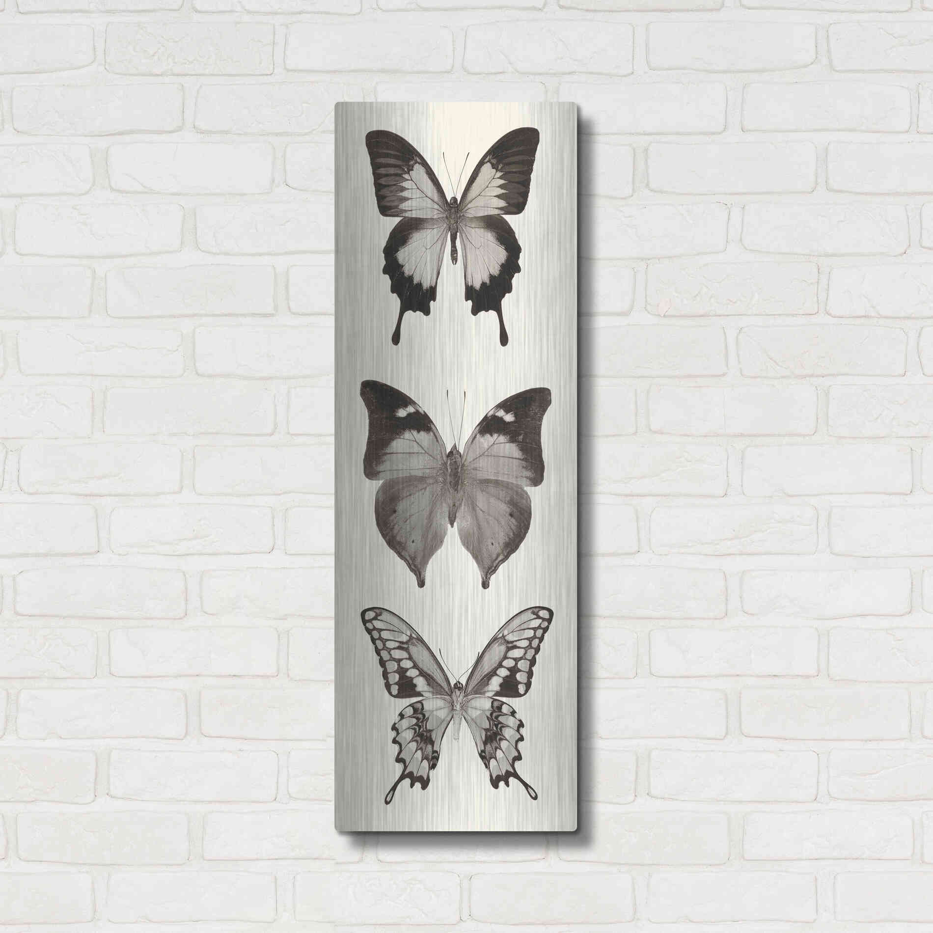 Luxe Metal Art 'Butterfly BW Panel I' by Debra Van Swearingen, Metal Wall Art,12x36