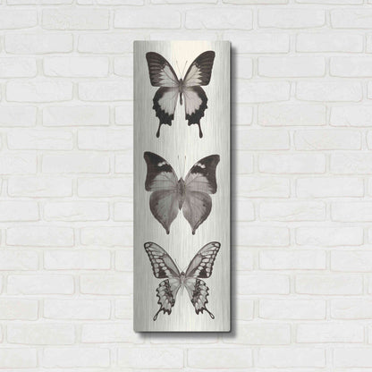 Luxe Metal Art 'Butterfly BW Panel I' by Debra Van Swearingen, Metal Wall Art,12x36