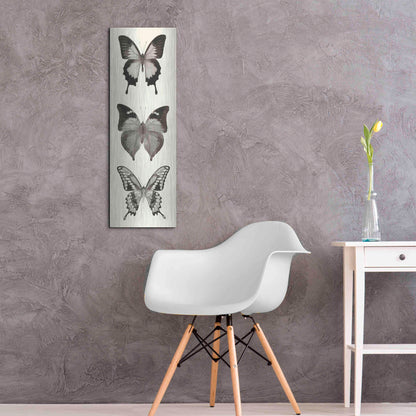 Luxe Metal Art 'Butterfly BW Panel I' by Debra Van Swearingen, Metal Wall Art,12x36