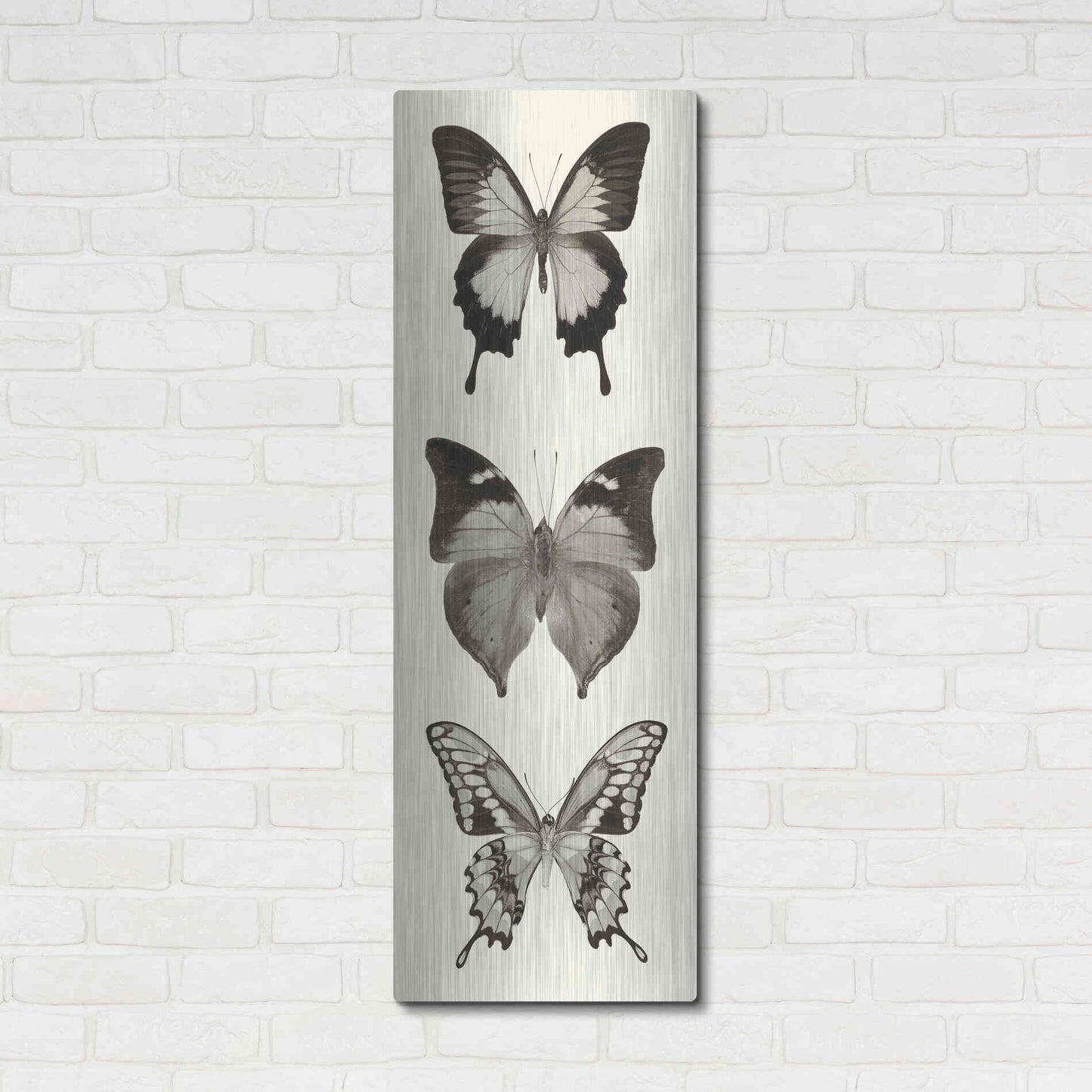 Luxe Metal Art 'Butterfly BW Panel I' by Debra Van Swearingen, Metal Wall Art,16x48