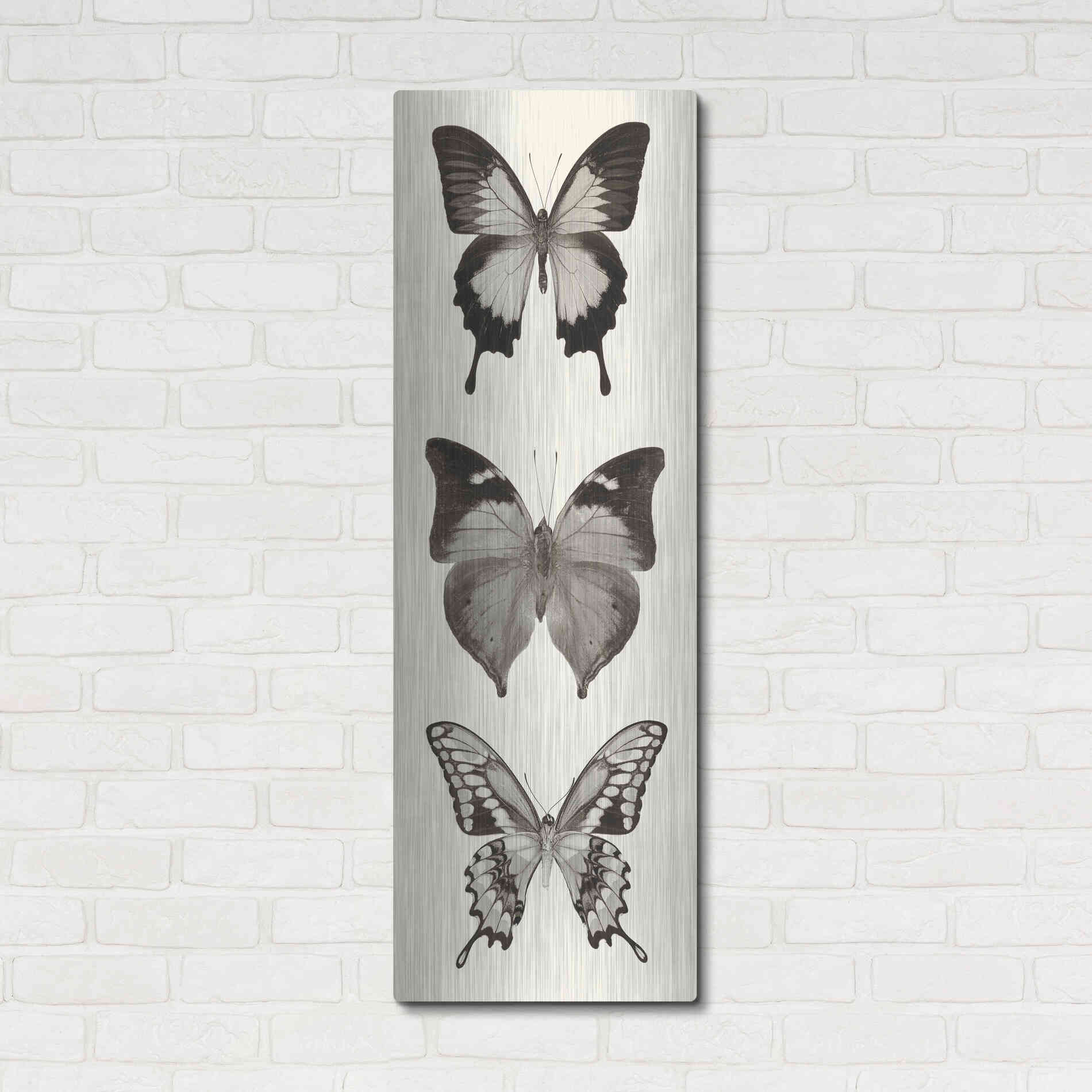 Luxe Metal Art 'Butterfly BW Panel I' by Debra Van Swearingen, Metal Wall Art,16x48