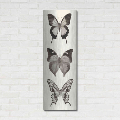 Luxe Metal Art 'Butterfly BW Panel I' by Debra Van Swearingen, Metal Wall Art,16x48