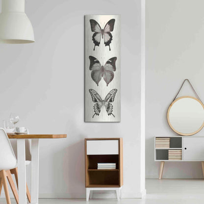 Luxe Metal Art 'Butterfly BW Panel I' by Debra Van Swearingen, Metal Wall Art,16x48