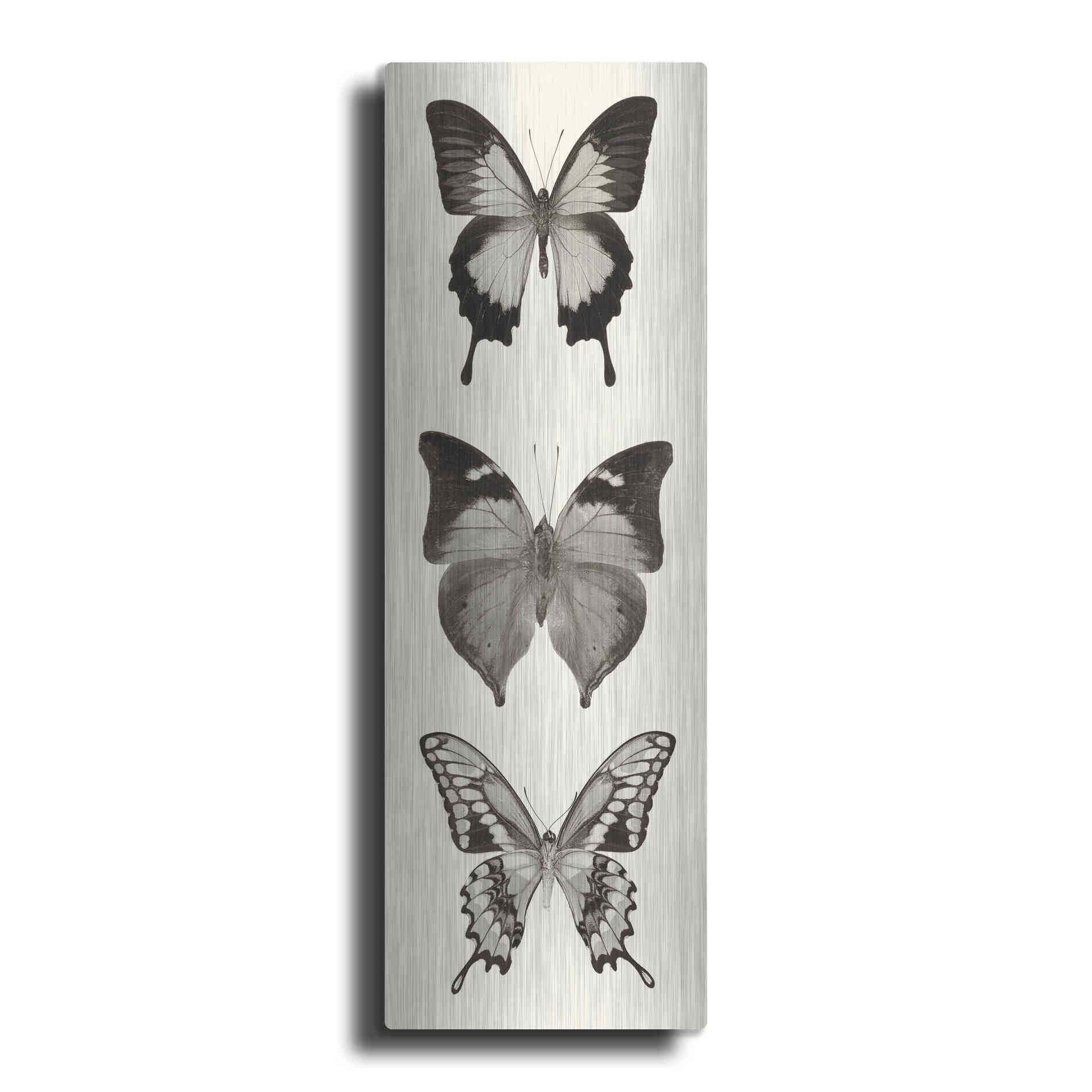 Luxe Metal Art 'Butterfly BW Panel I' by Debra Van Swearingen, Metal Wall Art