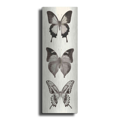 Luxe Metal Art 'Butterfly BW Panel I' by Debra Van Swearingen, Metal Wall Art