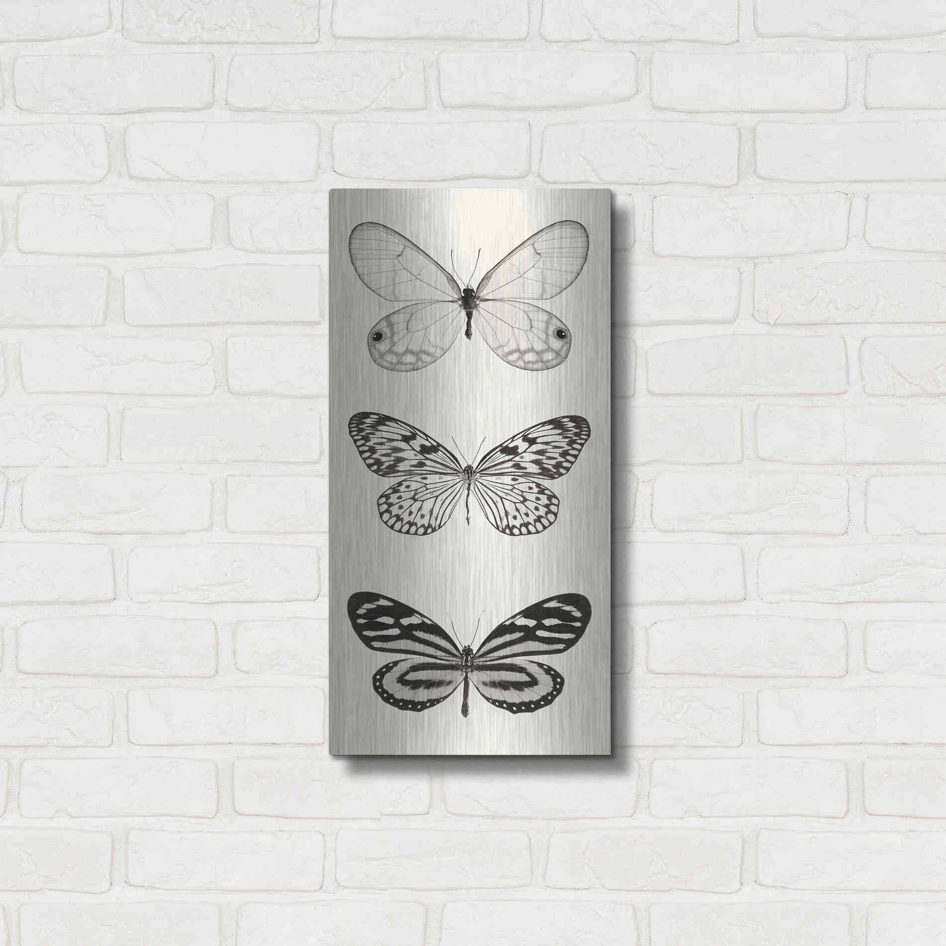 Luxe Metal Art 'Butterfly BW Panel II' by Debra Van Swearingen, Metal Wall Art,12x24