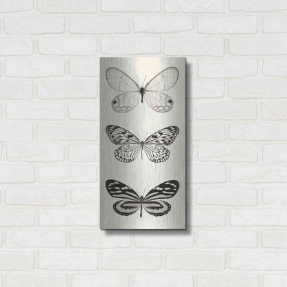 Luxe Metal Art 'Butterfly BW Panel II' by Debra Van Swearingen, Metal Wall Art,12x24