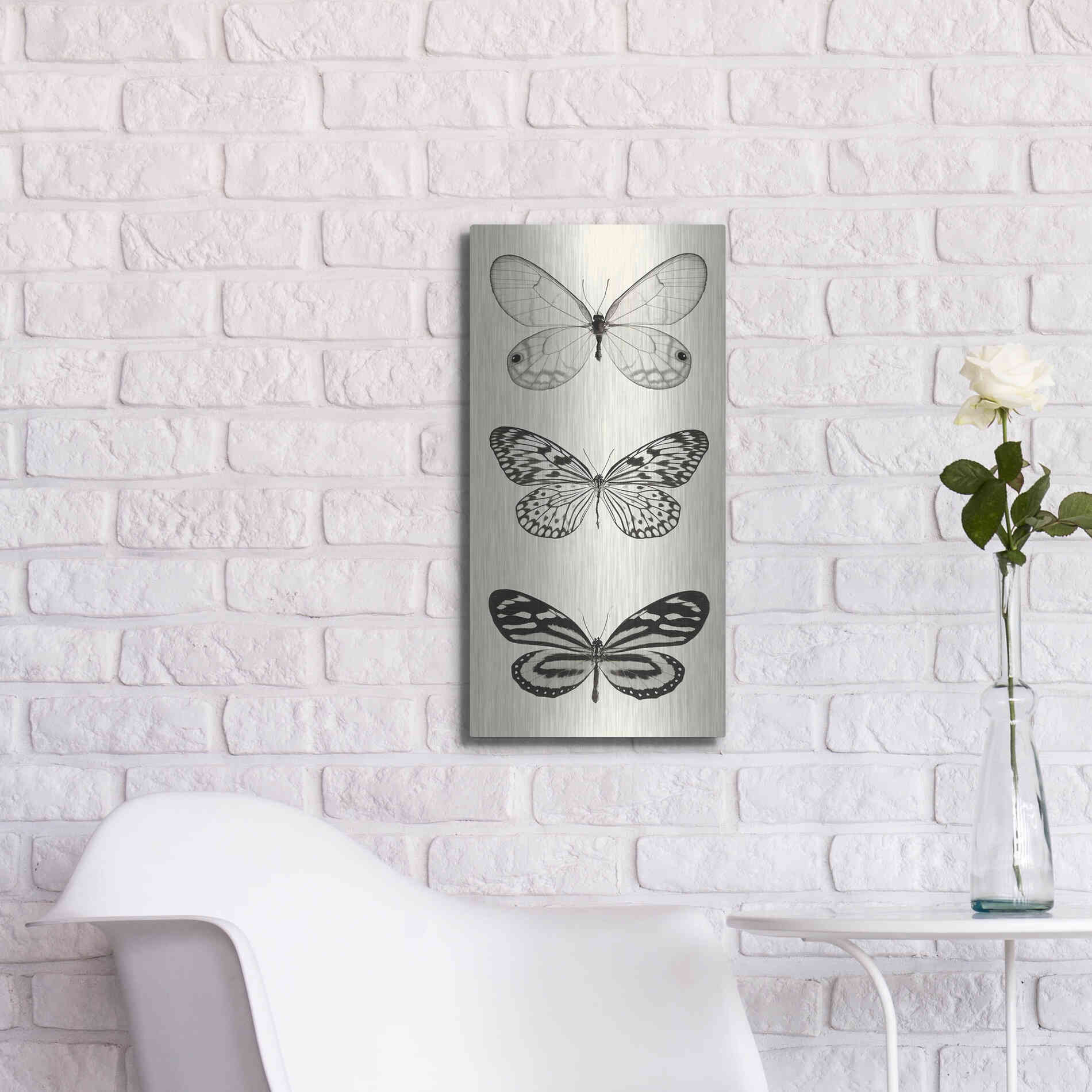 Luxe Metal Art 'Butterfly BW Panel II' by Debra Van Swearingen, Metal Wall Art,12x24