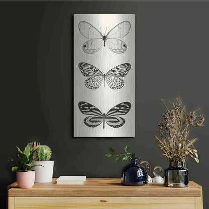 Luxe Metal Art 'Butterfly BW Panel II' by Debra Van Swearingen, Metal Wall Art,12x24