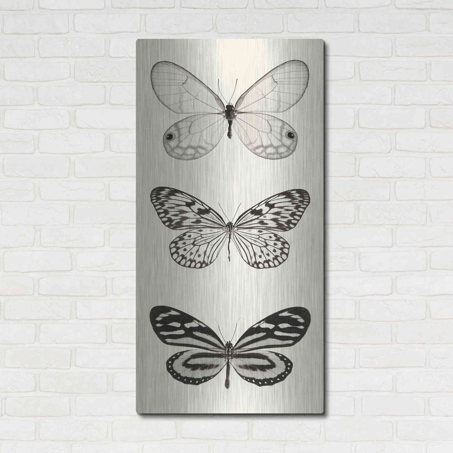 Luxe Metal Art 'Butterfly BW Panel II' by Debra Van Swearingen, Metal Wall Art,24x48