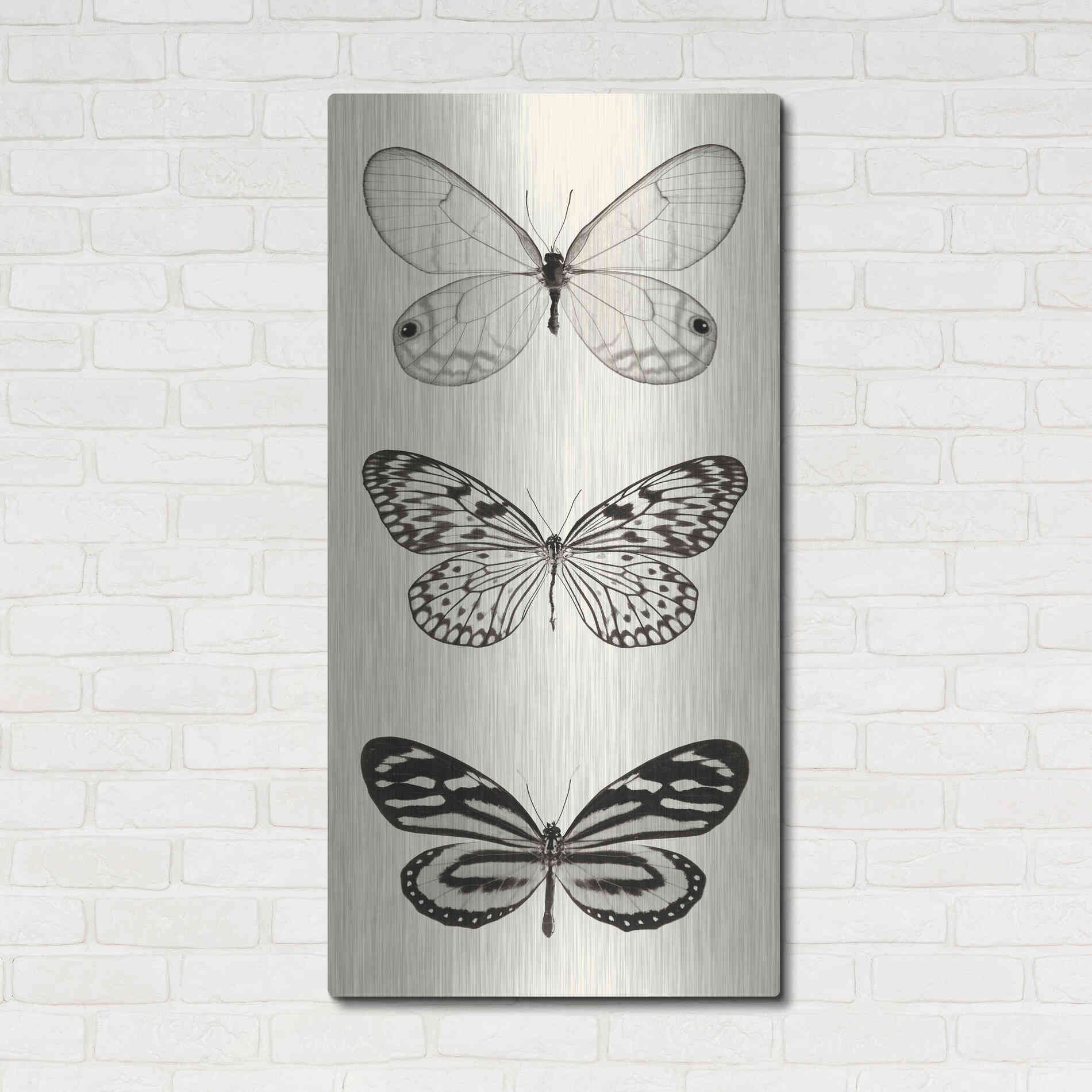 Luxe Metal Art 'Butterfly BW Panel II' by Debra Van Swearingen, Metal Wall Art,24x48
