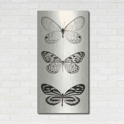 Luxe Metal Art 'Butterfly BW Panel II' by Debra Van Swearingen, Metal Wall Art,24x48