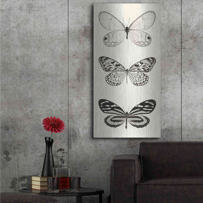 Luxe Metal Art 'Butterfly BW Panel II' by Debra Van Swearingen, Metal Wall Art,24x48