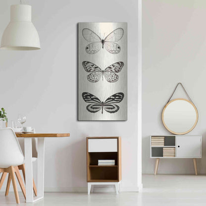 Luxe Metal Art 'Butterfly BW Panel II' by Debra Van Swearingen, Metal Wall Art,24x48