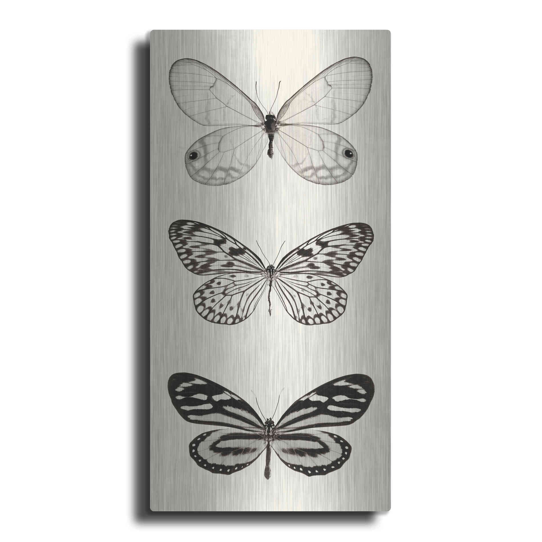 Luxe Metal Art 'Butterfly BW Panel II' by Debra Van Swearingen, Metal Wall Art