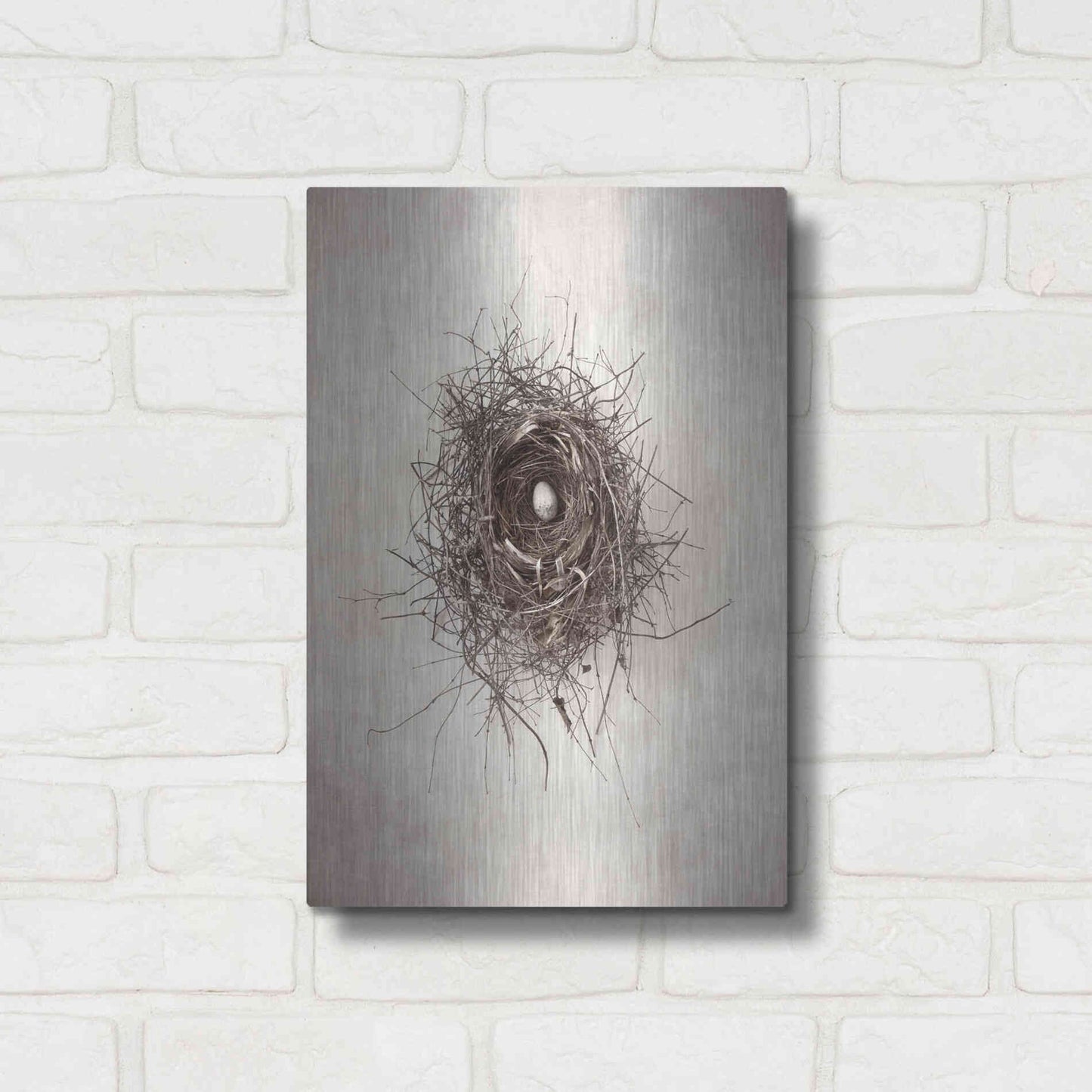 Luxe Metal Art 'Nest I' by Debra Van Swearingen, Metal Wall Art,12x16