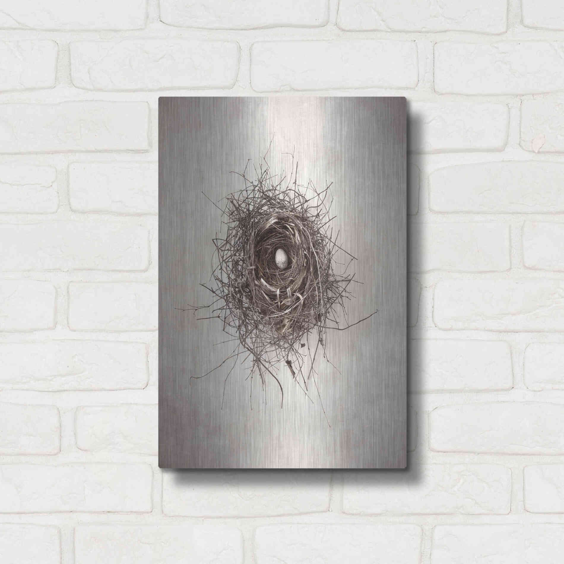 Luxe Metal Art 'Nest I' by Debra Van Swearingen, Metal Wall Art,12x16