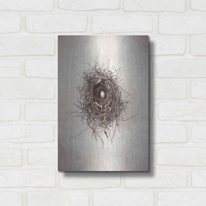 Luxe Metal Art 'Nest I' by Debra Van Swearingen, Metal Wall Art,12x16