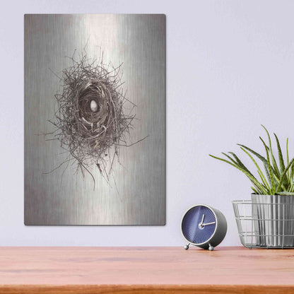 Luxe Metal Art 'Nest I' by Debra Van Swearingen, Metal Wall Art,12x16