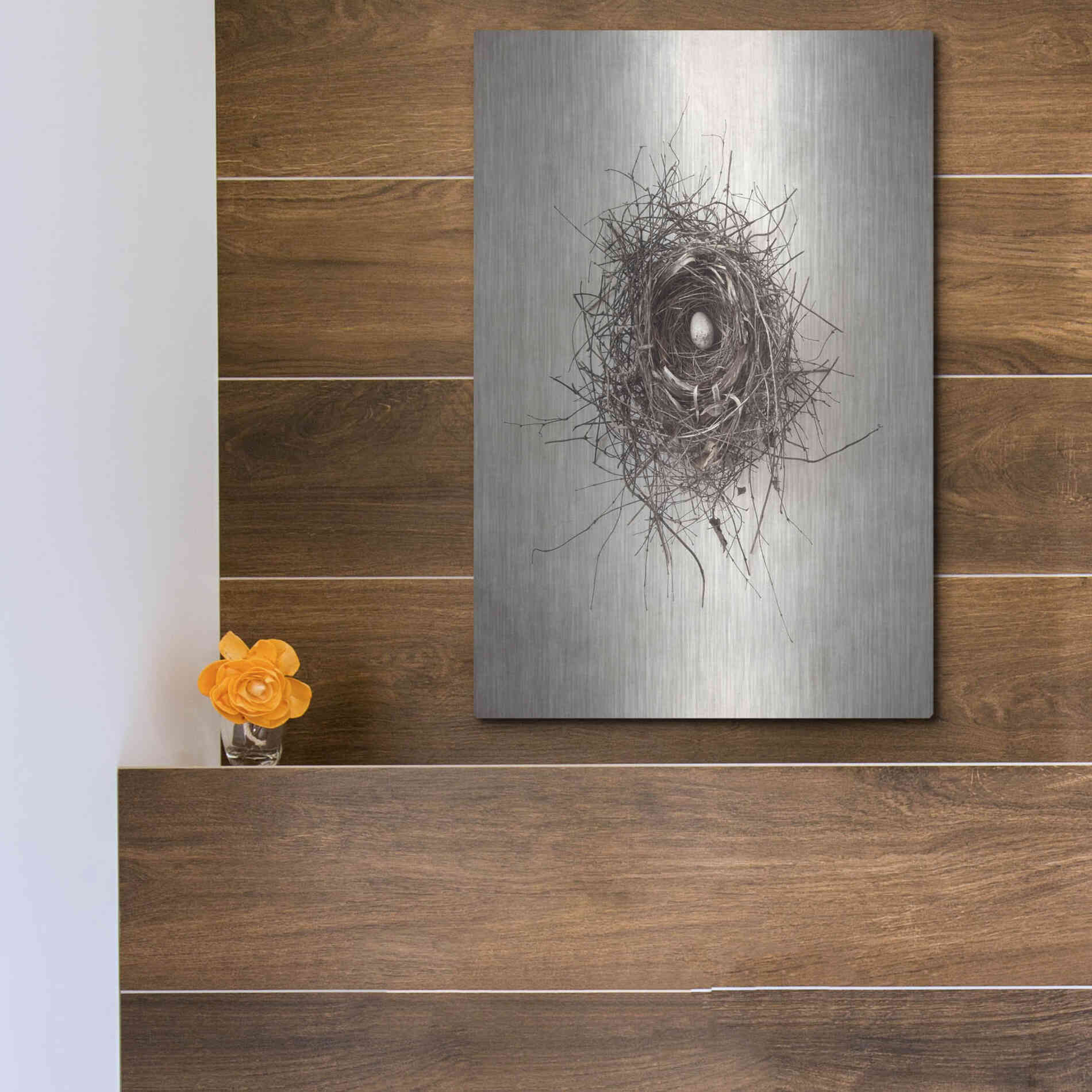 Luxe Metal Art 'Nest I' by Debra Van Swearingen, Metal Wall Art,12x16