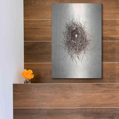 Luxe Metal Art 'Nest I' by Debra Van Swearingen, Metal Wall Art,12x16