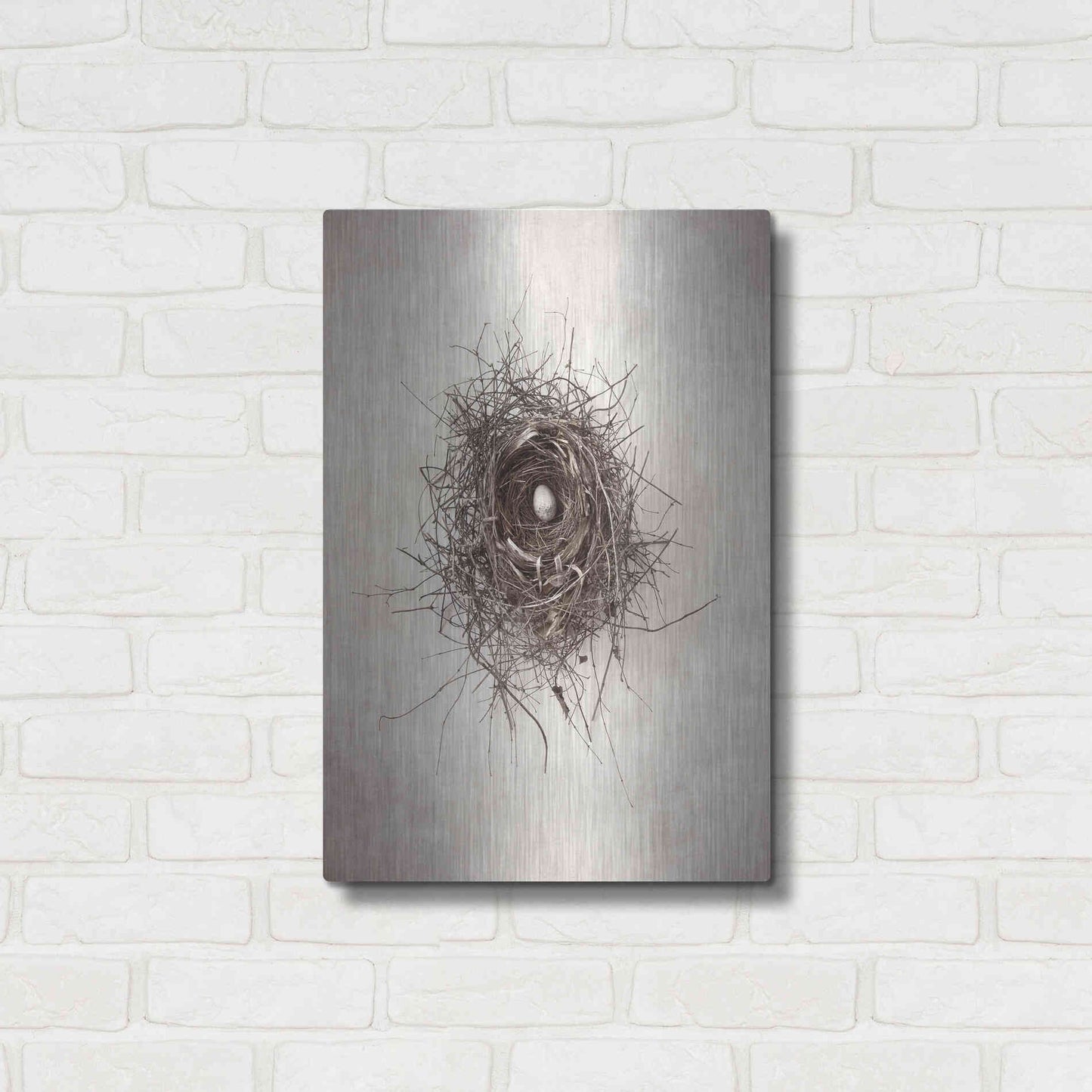 Luxe Metal Art 'Nest I' by Debra Van Swearingen, Metal Wall Art,16x24