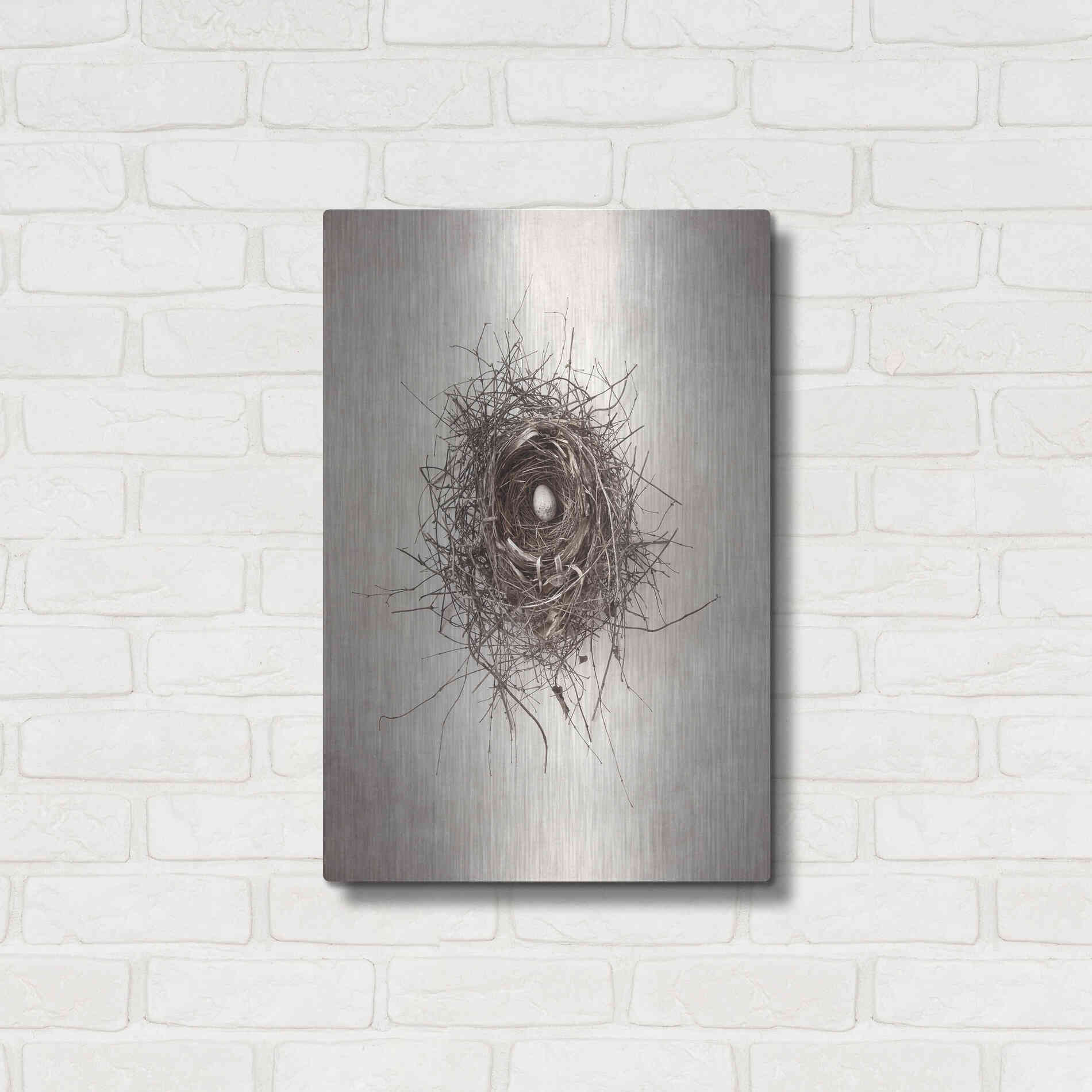 Luxe Metal Art 'Nest I' by Debra Van Swearingen, Metal Wall Art,16x24