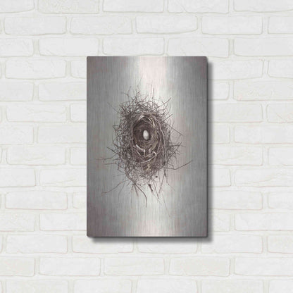 Luxe Metal Art 'Nest I' by Debra Van Swearingen, Metal Wall Art,16x24