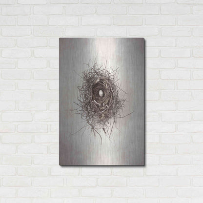 Luxe Metal Art 'Nest I' by Debra Van Swearingen, Metal Wall Art,24x36