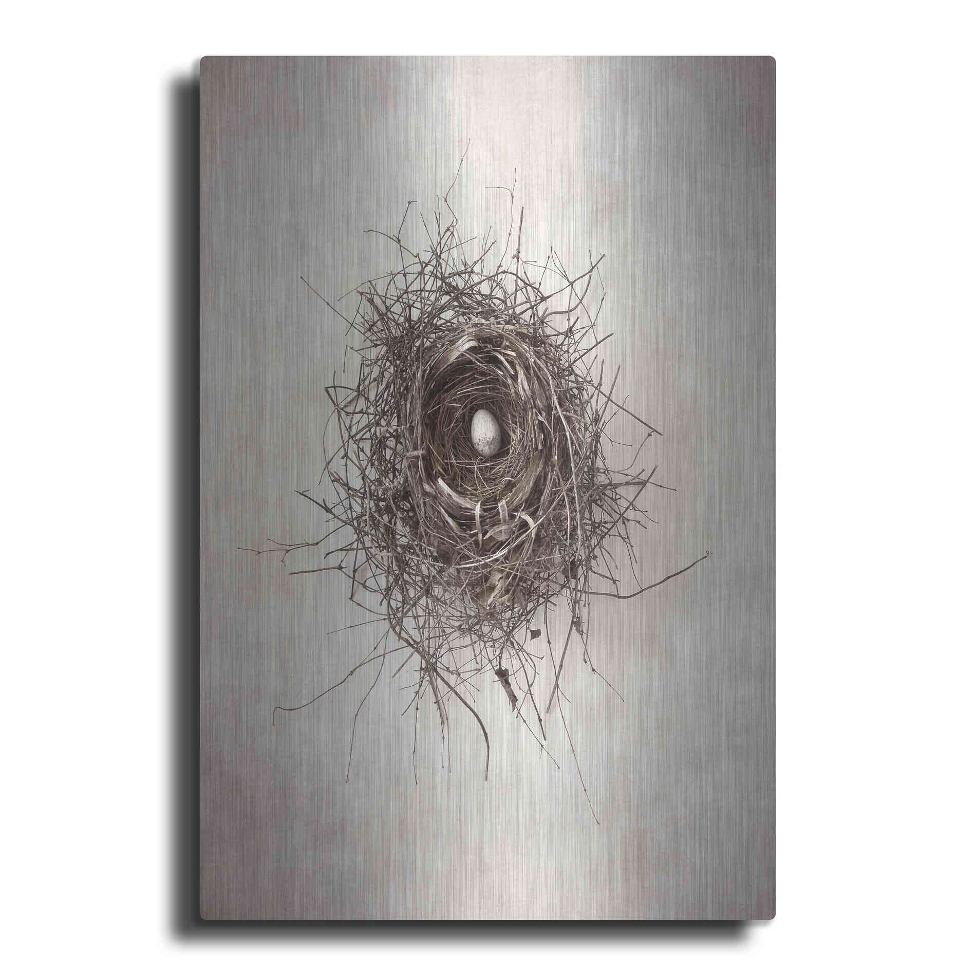 Luxe Metal Art 'Nest I' by Debra Van Swearingen, Metal Wall Art