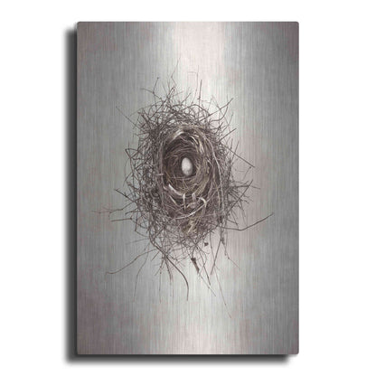 Luxe Metal Art 'Nest I' by Debra Van Swearingen, Metal Wall Art
