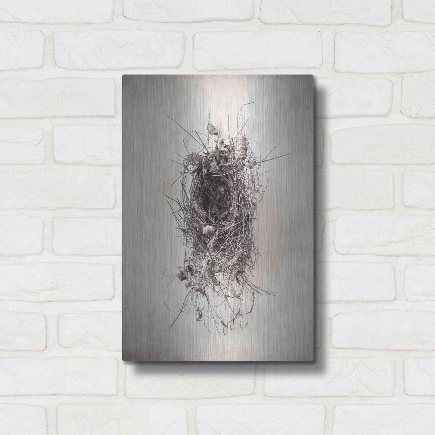 Luxe Metal Art 'Nest II' by Debra Van Swearingen, Metal Wall Art,12x16
