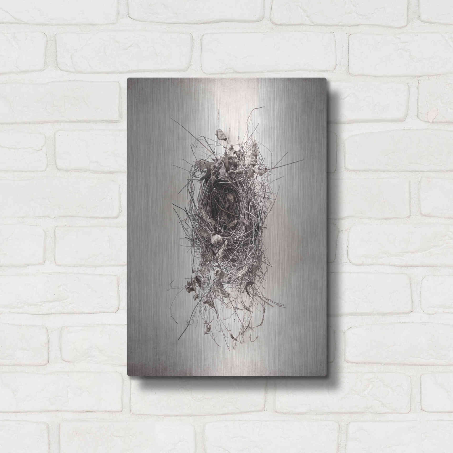 Luxe Metal Art 'Nest II' by Debra Van Swearingen, Metal Wall Art,12x16