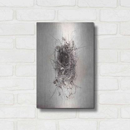 Luxe Metal Art 'Nest II' by Debra Van Swearingen, Metal Wall Art,12x16