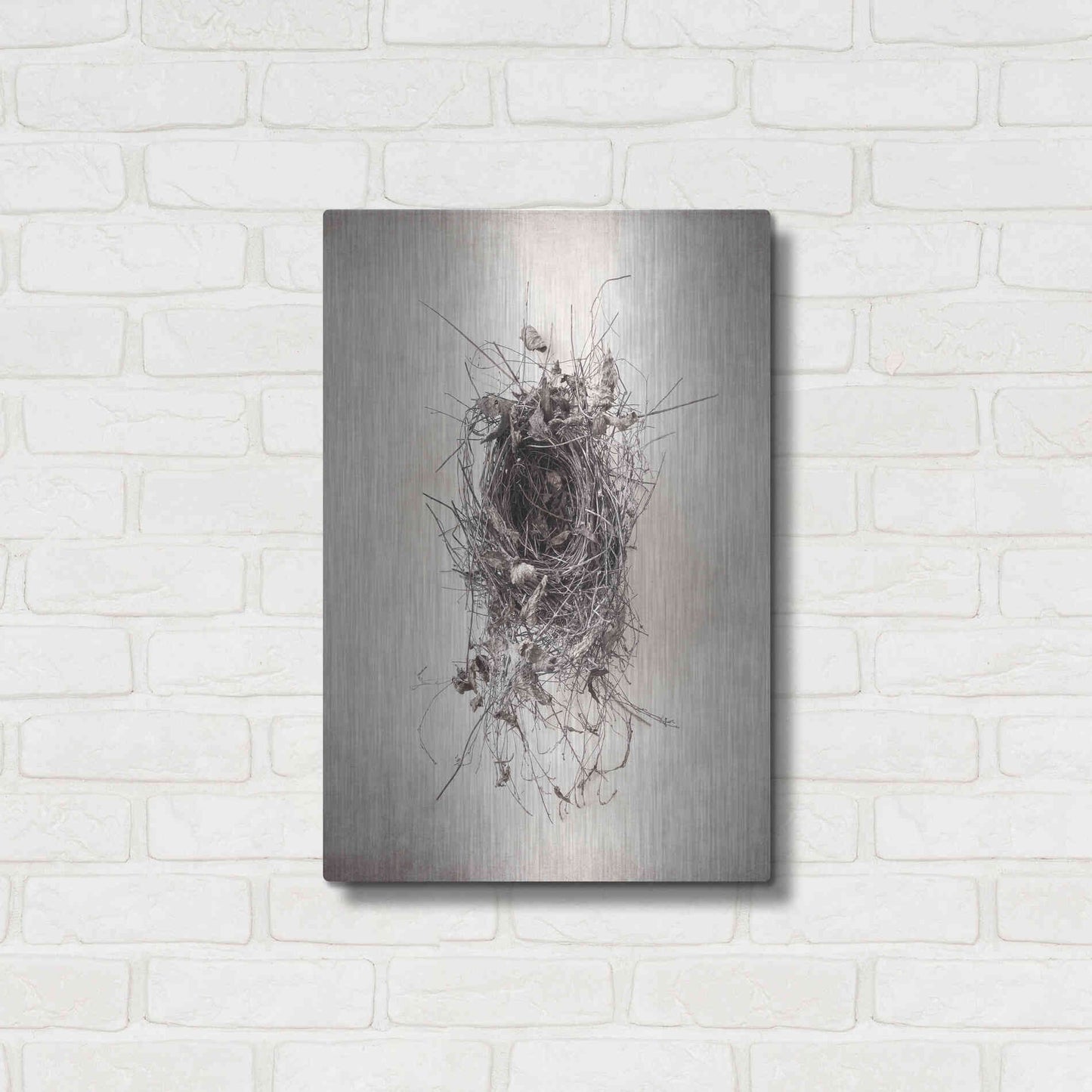Luxe Metal Art 'Nest II' by Debra Van Swearingen, Metal Wall Art,16x24