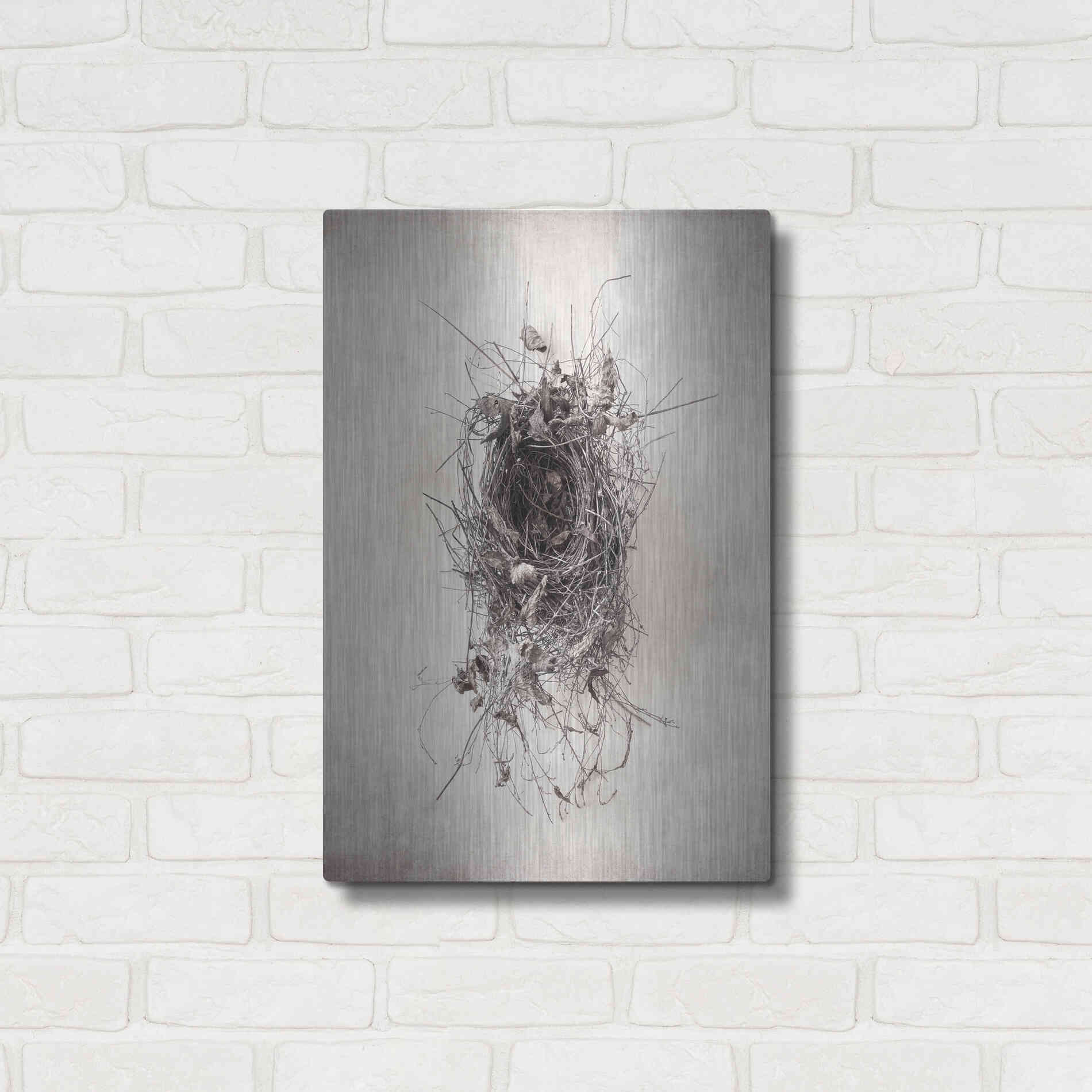 Luxe Metal Art 'Nest II' by Debra Van Swearingen, Metal Wall Art,16x24