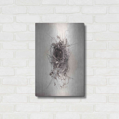 Luxe Metal Art 'Nest II' by Debra Van Swearingen, Metal Wall Art,16x24