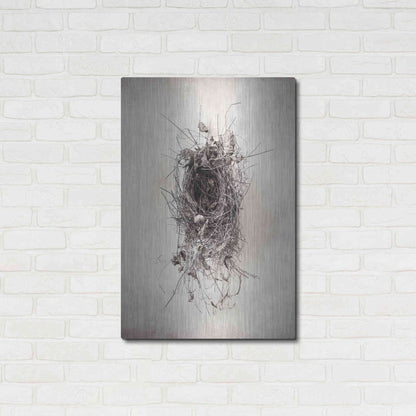 Luxe Metal Art 'Nest II' by Debra Van Swearingen, Metal Wall Art,24x36