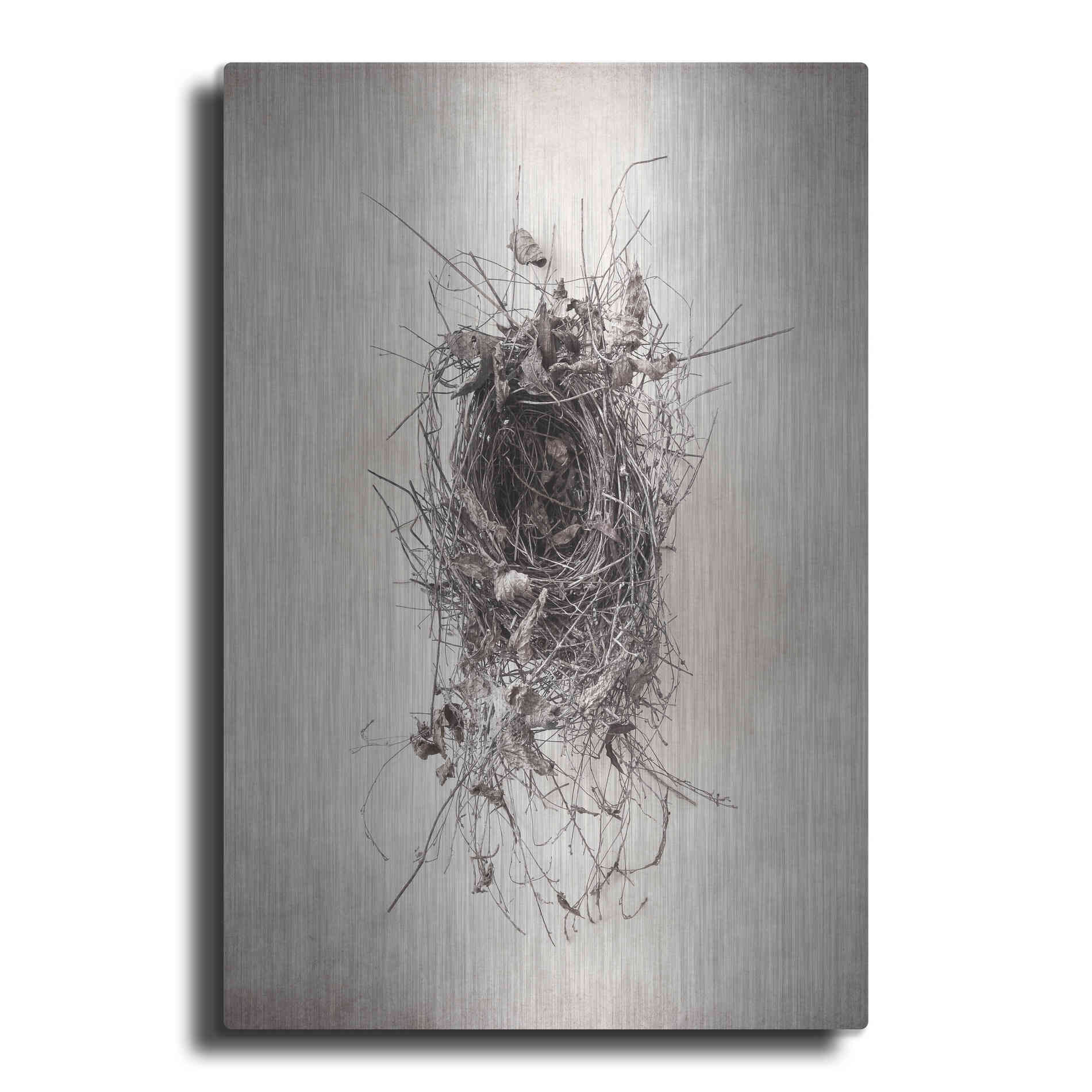 Luxe Metal Art 'Nest II' by Debra Van Swearingen, Metal Wall Art